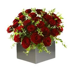 24 Red Roses Arrangement