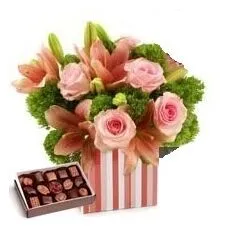 Blush Pinks Arrangement With Free Chocolates