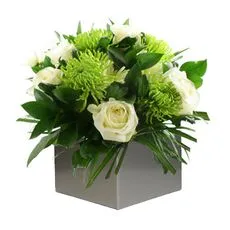 Blissful Botanics Arrangement