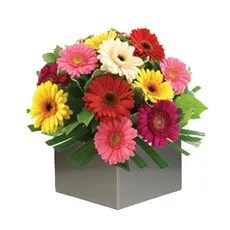 Bright Mixed Gerbera Arrangement