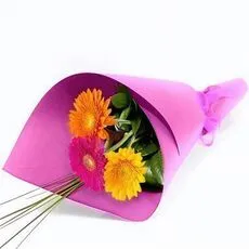 3 Wrapped Gerberas
