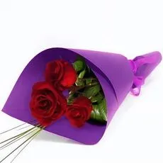 3 Wrapped Red Roses