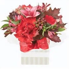 Christmas Box Arrangement