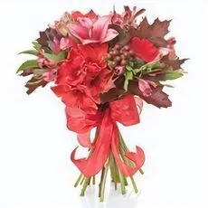 Christmas Bunch