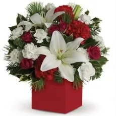 Christmas Carols Flowers