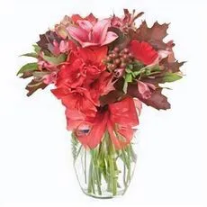 Christmas Special With Vase