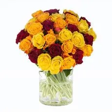 Rose Fire Bunch