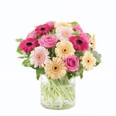 Pastel Gerberas Bunch