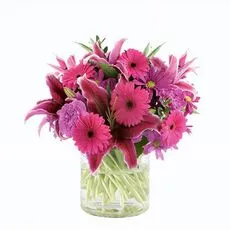 Pretty Pinks Bunch