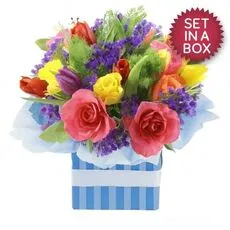 Baby Boy Arrangement in a gift box, delivered to Pottsville and Tweed Valley Hospital