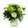 Blissful Botanics Bunch