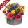 Bright Arrangement With Free Chocolates