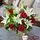 Lily & Rose Bunch Life_2