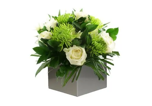 Blissful Botanics Arrangement