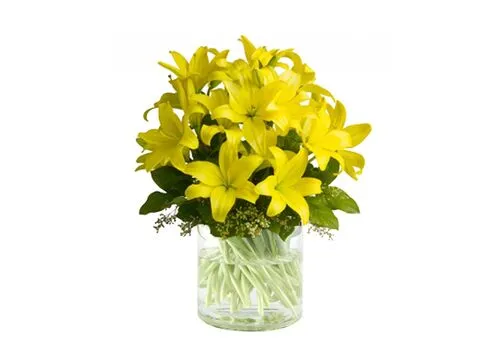 Yellow Lilies Bunch