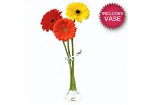 3 Gerberas In A Vase