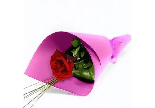 Single Wrapped Red Rose