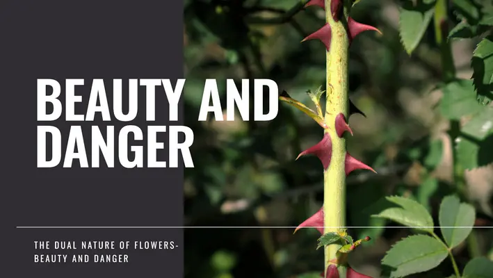 Dangerous Beauty: The World's Most Poisonous Flowers
