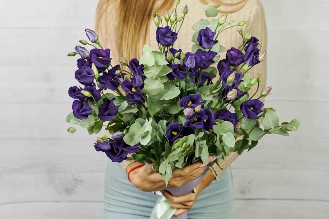 buy Purple Flowers online
