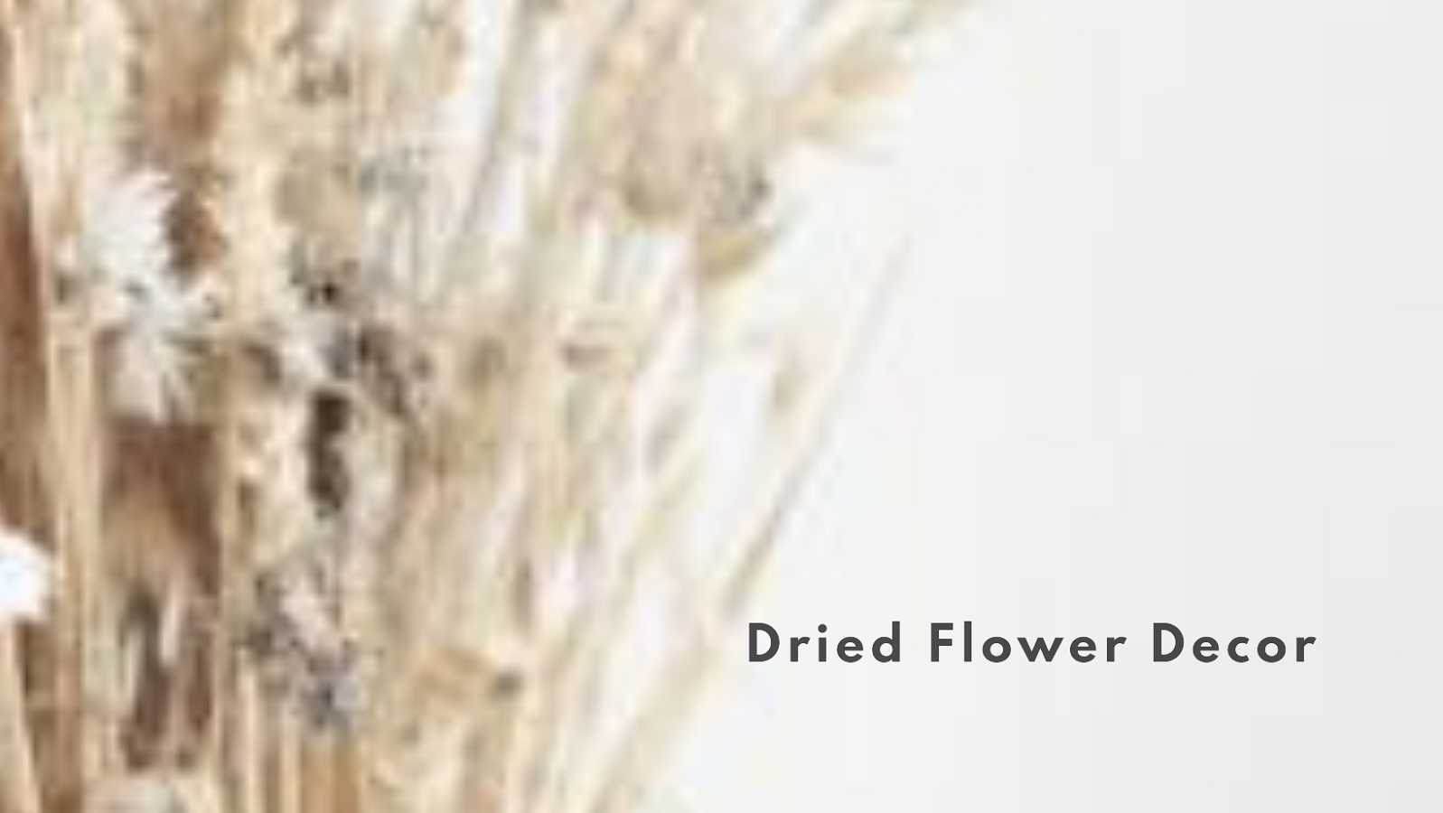 Dried Flower Decor by Lily's Florist Australia