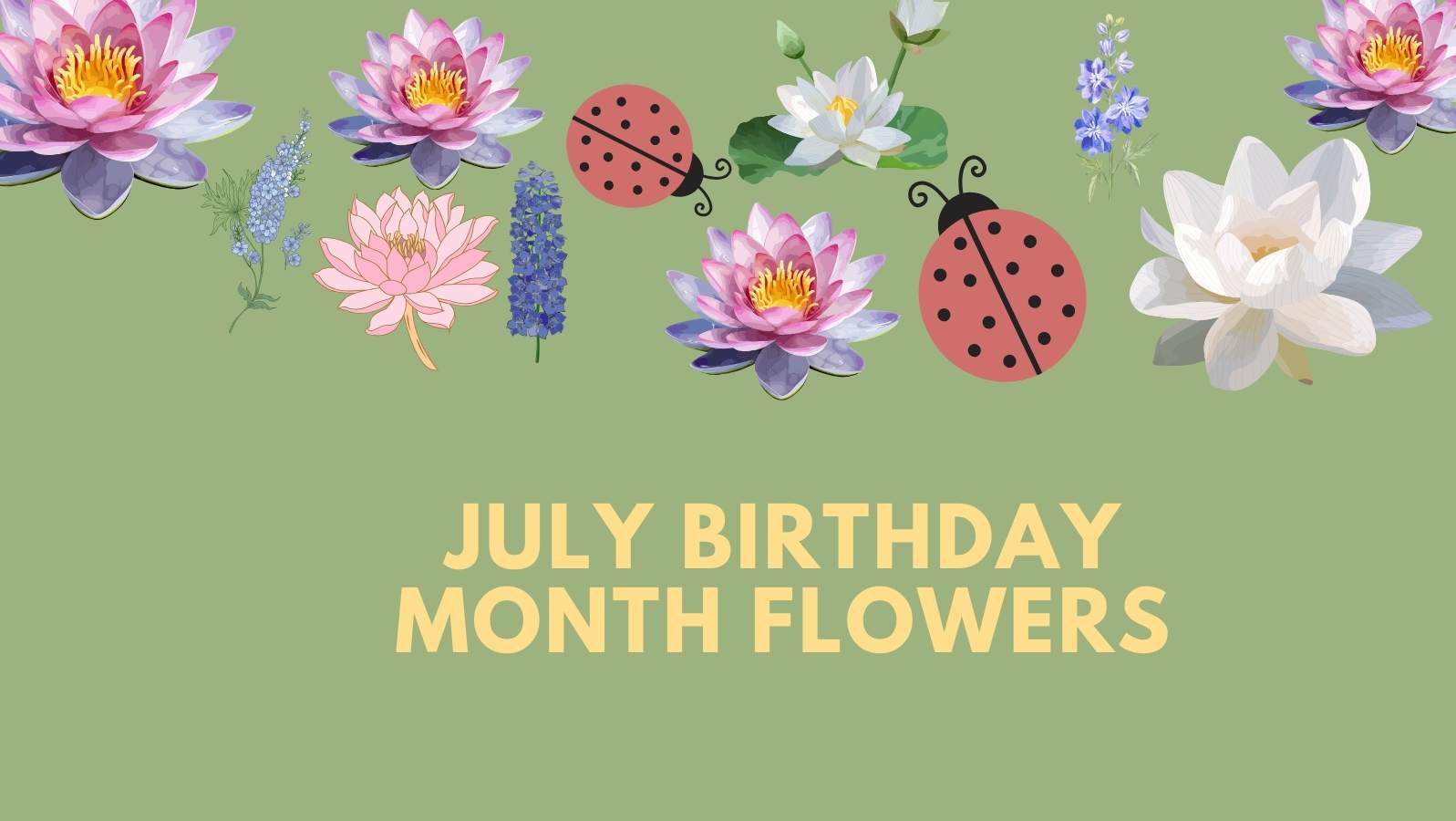 July Birthday Month Flowers