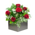 6 Red Roses Arrangement