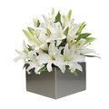Oriental Lily Arrangement