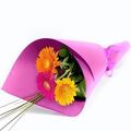 3 Wrapped Gerberas 3 Wrapped Gerberas