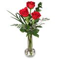 3 Red Roses In a Vase