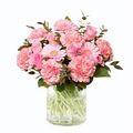 pink roses and carnations