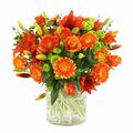 Mixed Orange Bunch