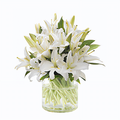 Oriental Lilies Bunch Oriental Lilies Bunch