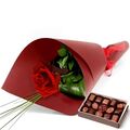 Single Rose With Chocolates Single Rose With Chocolates
