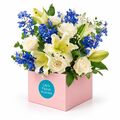 Blues and creams set in a box for extra impact
