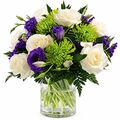 Fresh lilac and lime blooms