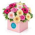 Subtle and elegant pastel gerberas set in a box