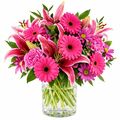 Pretty pink bunch wrapped in paper