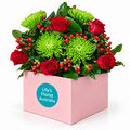 A lovely mix of red and green blooms designed to brighten a room