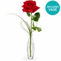 Classic, timeless, stunning single rose in a glass bud vase