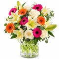 Beautiful mix of bright happy colours