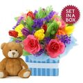 New Baby Boy Arrangement + Teddy