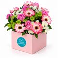 A fun and pretty bunch of mixed pink and green blooms