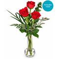3 fresh red roses in a glass vase