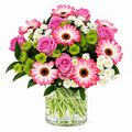 Floriade bunch of pink gerberas and pink roses
