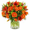 Bunch of bright orange blooms