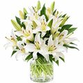 Bunch of fresh oriental lilies