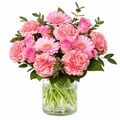 Pink roses and carnations