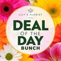 deal of the day bunch of florist's choice flowers