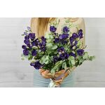 purple flowers
