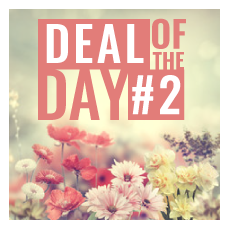Deal Of The Day Arrangement